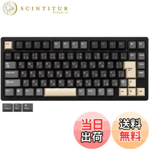 �y���������z�yWOBKEY Rainy 75�L�[�{�[�h�z�J���̂悤�ȑŌ��� ���J�j�J���L�[�{�[�h 3WAY�ڑ� OS�݊��� �z�b�g�X���b�v��VIA�̑Ή� �J�X�^�}�C�Y�� �K�X�P�b�g�f�U�C�� �A���~�j�E���f�ގg�p RG
