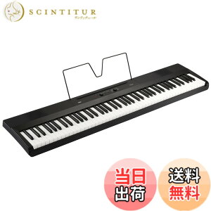 �y���������zKORG(�R���O) �d�q�s�A�m Liano 88���� �F�F�u���b�N