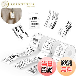 �y���������zNIIMBOT ���x���V�[���y3���[���zB1/B1Pro/B2/B2Pro/B21/B21Pro/B31���x�����[�J�[�Ή� �������M���[���� ���M���x���v�����^�[ ����p�� ���S�� �ϐ� �F�F40*70 �z���C�g�A�T�C�Y�F40x70mm
