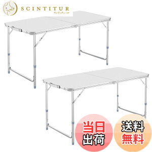 �y���������zDesertFox �L�����v �e�[�u�� �A�E�g�h�A �e�[�u�� �܂肽���� �e�[�u�� 120cm/180cm �P�i/�Z�b�g ����3�i�K�����\ ���R�ɍ��������\�s�N�j�b�N ���W���[ �L�����v�p �܏�� �R��