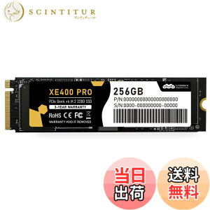 �y���������zLinkMore Gen4 PCIe 4.0 NVMe SSD �F�FPCIe4.0-XE400 PRO�A�T�C�Y�F256GB