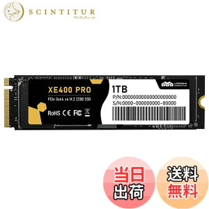 �y���������zLinkMore Gen4 PCIe 4.0 NVMe SSD �F�FPCIe4.0-XE400 PRO�A�T�C�Y�F1TB