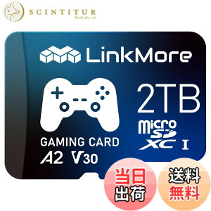 �y���������zLinkMore A1V30 / A2V30 / XV23 Pro MicroSDXC�J�[�h �T�C�Y�F2TB
