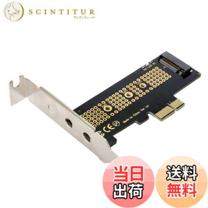 �y���������zChenYang M.2 NVME to PCIe 3.0/4.0 X8 �A�_�v�^�[ �f���A�� NVME/AHCI SSD to PCI Express Gen4 �g���J�[�h�A�_�v�^�[ �F�FX1 PCI-E 80mm SSD�p�u���b�N�B