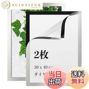�y���������zLEADINTOP �_�C�������h�A�[�g �t�H�g�t���[�� 2�� �}�O�l�b�g�t�� 30 x 40 cm �_�C�������h�G��p �ǂ������Ȃ� ���ȔS���� �Ǌ|�� �f�B�X�v���C�t���[�� �ʐ^�t���[�� �\���� �|