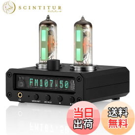 【送料無料】Nobsound P2-FM 6E2 真空管 プリアンプ ステレオ ヘッドホンアンプ サウンドレベルインジケーター FMラジオ 時計 clock クロック MIC/AUX 置き時計 色：ブラック、サイズ：MINI