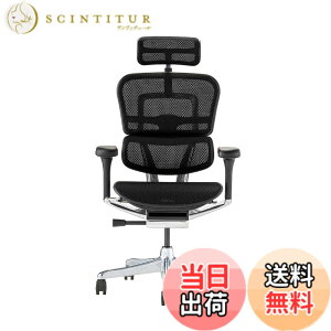 �y���������z�G���S�q���[�}��2(Ergohuman2) �I�t�B�X�`�F�A �F�F�t���[��:BLACK / ���b�V��:BLACK�A�T�C�Y�F�n�C�^�C�v