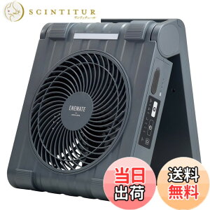 �y���������z�A�s�b�N�X(APIX INTL) ENEMATE ��@ �F�F�R�X���O���[