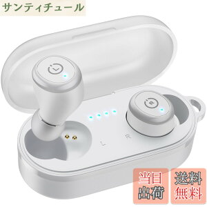 �y���������zTOZO T10 �C���z�� bluetooth ���C�����X�C���z�� ���ቹ�� �g�F�n���� ���^�y�� ���K �}�C�N���� AI �ʘb���m�C�Y���_�N�V���� �J�X�^��EQ �A�v���Ή� �����h�����i�A�v���Ń^�b�`��