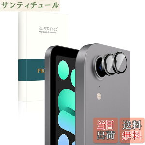 �y���������zPRODELI For iPad (A16) 11���� 2025 /Air 11/13 M3 2025 ��7���� ��p �J�����t�B���� mini7 (2024)/mini6 (2021)/Air 6/5/4/iPad 10(2022) �p �����Y�t�B���� �A���~�������{AR���������K���X ��7/6/5/4/11/10��