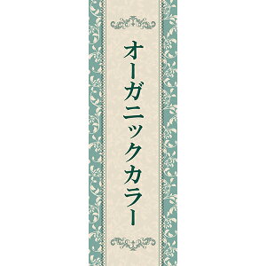 fUC ̂ڂ  I[KjbNJ[ wAJ[  ^b` e wAJbg A VRR