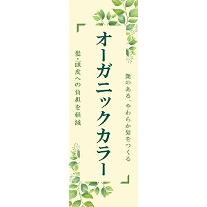 fUC ̂ڂ  I[KjbNJ[ ւ̕Sy wAJ[  ^b` wAJbg A VRR