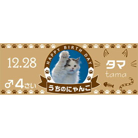 名入れ プレゼント オリジナル 横断幕セレブレートバナー ペットバースデー用 デザイン23-cat誕生日 飾り付け パーティーグッズ