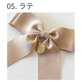 ペンライトリボン 全12色 ライブ コンサート 推し色 推しカラー ペンラ リボン 推し活 ペンライト用リボン 推し色グッズ プチギフト プレゼント 推し カラー ヲタ活 グッズ メンバーカラー 推し事 推し活グッズ 推し色リボン おしゃれ かわいい キンブレ キングブレード