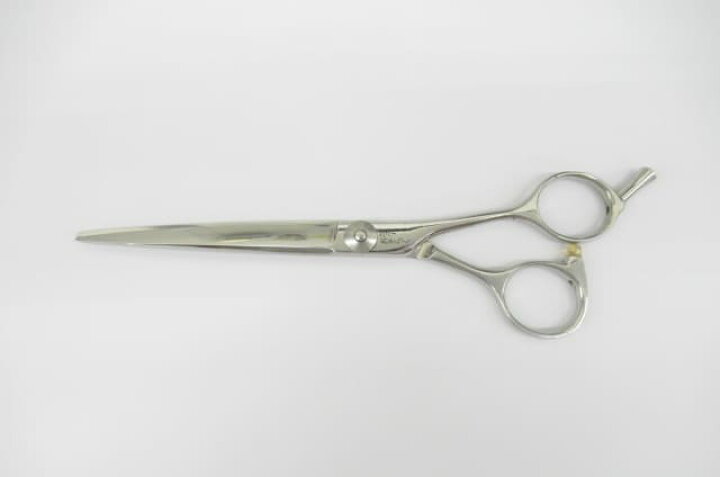 楽天市場】Cランク【タマコーシザース】 ニューおそらく シザー ハサミ  