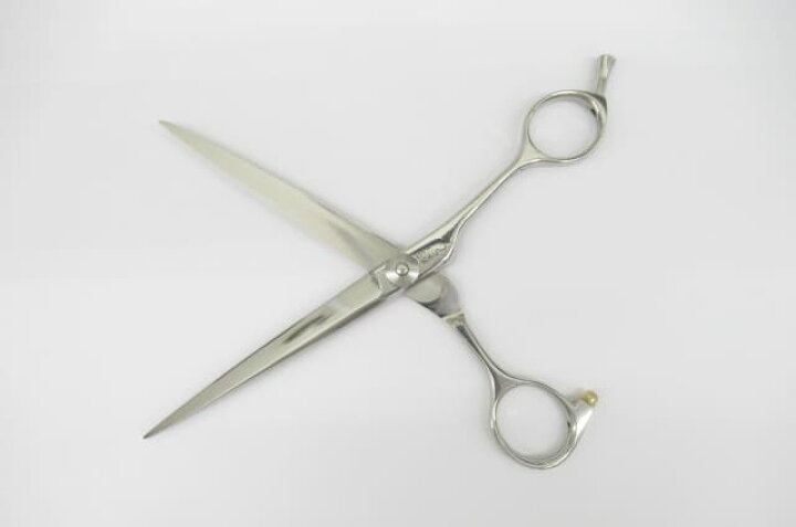 楽天市場】Cランク【タマコーシザース】 ニューおそらく シザー ハサミ  