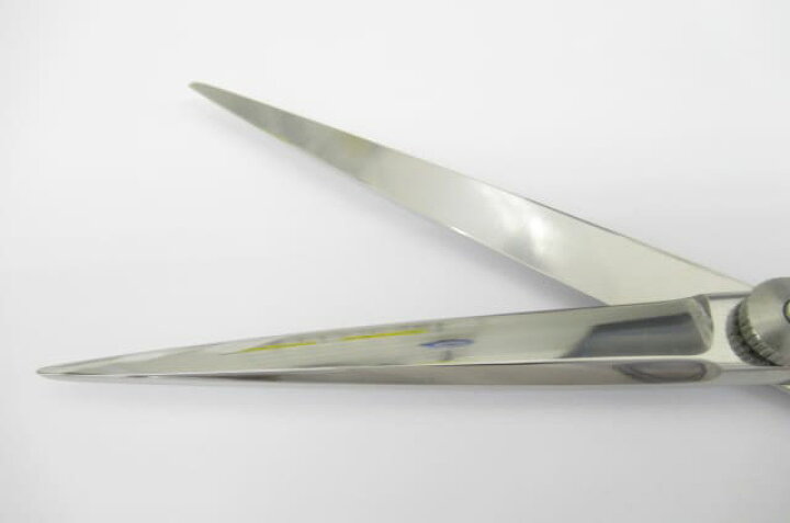 楽天市場】Cランク【タマコーシザース】 ニューおそらく シザー ハサミ  