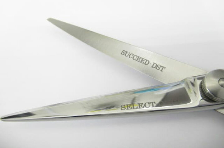 楽天市場】Bランク【SUCCEED サクシード】 SELECT-ONE SE60 セレクト  