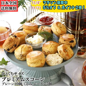 y}\5OFFzyP2{zXR[ kCY o^[   TCY v~AXR[ 3 Zbg v[x2 x1 [Yx1 v4 |Xg H yH  X