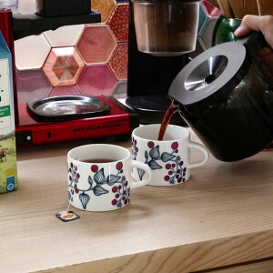 y12119:59܂ŊԌ艿izArA / m eB[Jbv tXgx[ [Arabia Runo ]