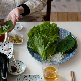 【2月2日9:59まで期間限定価格】アラビア / 24h アベック プレート26cm [ Arabia 24h Avec ]