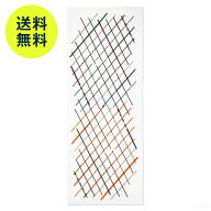 【7月2日9:59まで期間限定価格】スコープ / 手ぬぐい 017 立花文穂 チェックチェック