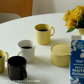 イッタラ / ティーマ マグカップ 0.3L [iittala Teema]