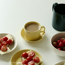 イッタラ / ティーマ ティーカップ 単品 [iittala Teema]