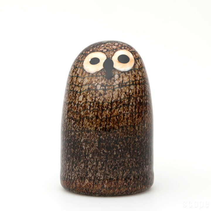 楽天市場】【現在のご注文は 5/7(水)以降 5/9(金)までに発送します  