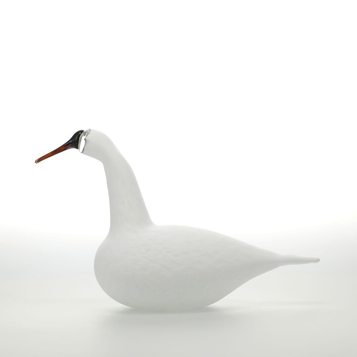 楽天市場】【現在のご注文は 5/7(水)以降 5/9(金)までに発送します  