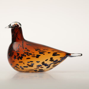 y0209zCb^ / o[h oC ICo gCbJ Pekkasiini Rbp[uE [iittala / Birds by Oiva Toikka]
