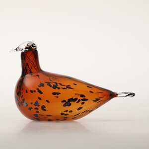 y0210zCb^ / o[h oC ICo gCbJ Pekkasiini Rbp[uE [iittala / Birds by Oiva Toikka]