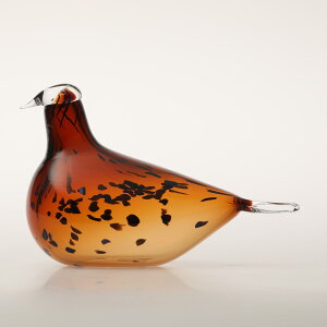 y0228zCb^ / o[h oC ICo gCbJ Pekkasiini Rbp[uE [iittala / Birds by Oiva Toikka]