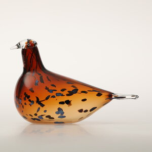 y0231zCb^ / o[h oC ICo gCbJ Pekkasiini Rbp[uE [iittala / Birds by Oiva Toikka]