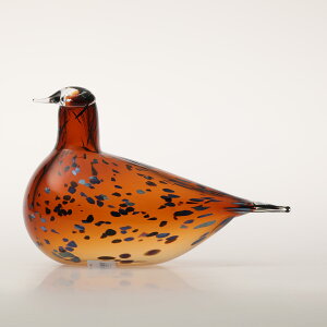 y0255zCb^ / o[h oC ICo gCbJ Pekkasiini Rbp[uE [iittala / Birds by Oiva Toikka]