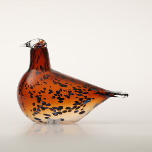 y0262zCb^ / o[h oC ICo gCbJ Pekkasiini Rbp[uE [iittala / Birds by Oiva Toikka]