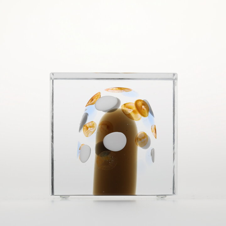 楽天市場】【No.406】イッタラ / アニュアルキューブ 2020 [iittala  