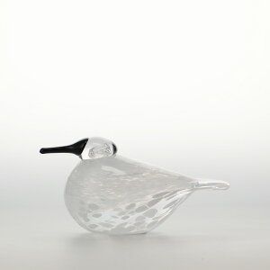 �y0097�z�C�b�^�� / �o�[�h �o�C �I�C�o �g�C�b�J Snow Finch [ iittala Birds by Oiva Toikka ]