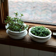 【4月27日9:59まで期間限定価格】スコープ / ピエニワ プラントポット [ scope PIENIWA ]