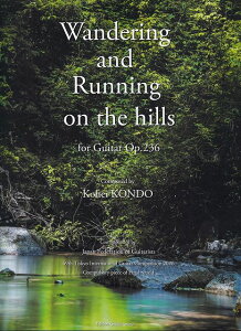 3300~ȏ㑗y}ցzGG714@Wandering@and@Running@on@the@hills@for@Guitar@OpD236@M^[̂߂́u疗yvi236sy XRA |Cgupt