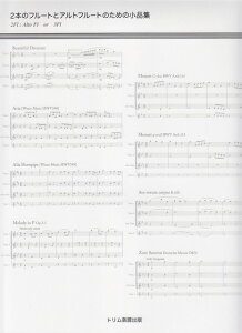 3300~ȏ㑗y}ցz 2{̃t[gƃAgt[ĝ߂̏iW sy XRA |Cgupt