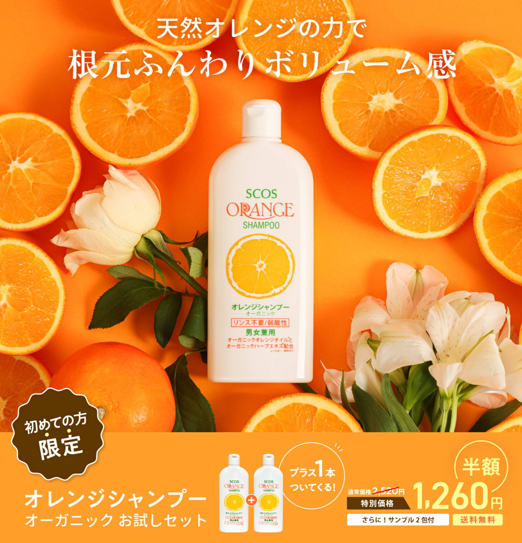 初回限定！お試しセット！