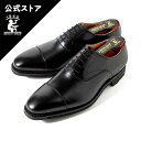 【雨の日も安心】本革 革靴 ビジネスシューズ 日本製 スコッチグレイン SCOTCH GRAIN ストレートチップ 撥水 紳士靴 外回り 通勤 Eウィズ 2776BL シャインオアレイン　ゴム底