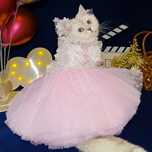 ybg L EFfBOhX  hbOEFA LbgEFA EFfBO s tH[}   m L EFfBO hX sN {t tH[}hX 