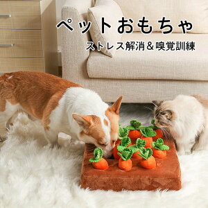  V ɂ񂶂 m[X[N ʂ lQ koP 12^Cv  ybgߋ XgXU ybg ^ ^ ^s p Lp yb