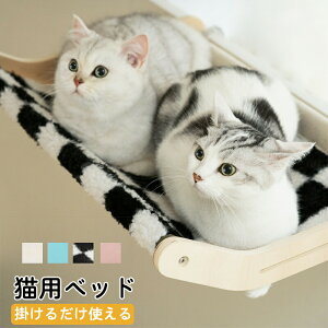 LpnbN Lpxbh ybgxbh |xbh | ݂xbh ėp LpV[g EChEV[g Lp ȒP| ؐnbN XgX Lpi xbh Lbgn