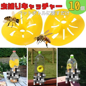  F I ILb`[ 10 Fgbv I ybg{gTCY XgO ߂ ̂ F CG[ Qߊl ߒ{g Q΍pi  ֗ObY ȒPݒu 