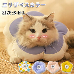 GUxXJ[  ybgp piփ\tg  L ybg _炩 p  PK p r r ی h~  畆  Lp p _炩 y rߖh~ 