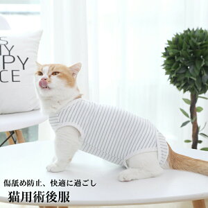 Lpp㕞 p ybgpp㕞 pi Lp p _炩 y rߖh~ p ޖh~ 앞 Rbg 畆ی ybgpi ^ ^ ^ Lp r  r