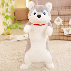 80cm q Ck Qʂ 킢   ʂ   rbOTCY   xbh G YQ ܂ Q w Qʂ  NbV 